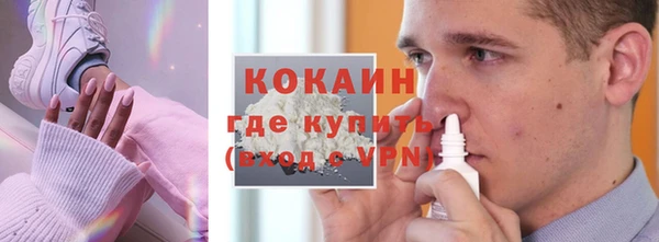Альфа ПВП Няндома