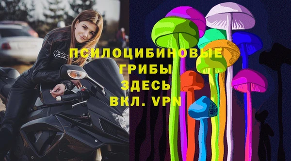Альфа ПВП Няндома