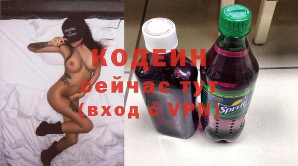 Альфа ПВП Няндома
