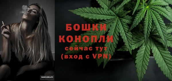 Альфа ПВП Няндома