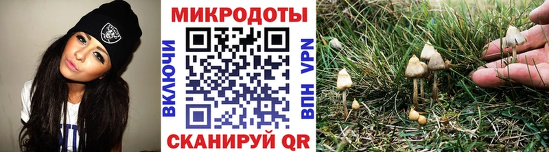 Псилоцибиновые грибы прущие грибы  Вольск 
