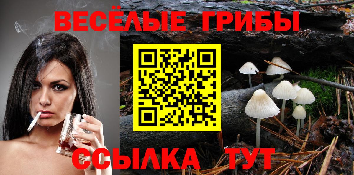 Псилоцибиновые грибы Psilocybine cubensis  Псилоцибиновые грибы ЛСД  Вольск  Вход с VPN 