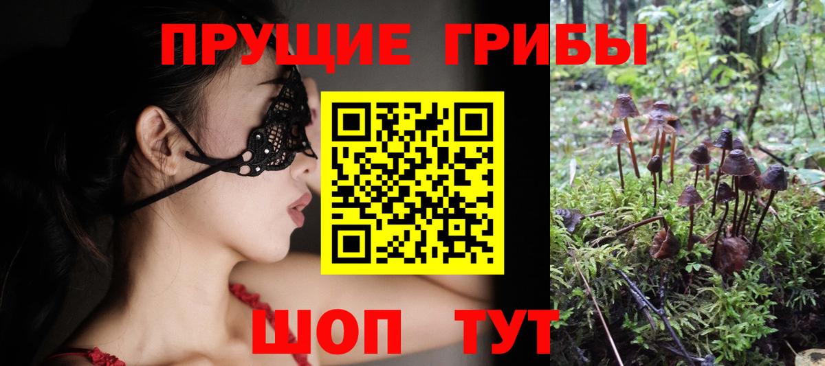 Галлюциногенные грибы Psilocybine cubensis Вольск