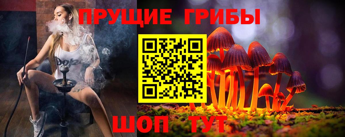 Галлюциногенные грибы MAGIC MUSHROOMS Вольск